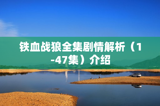 铁血战狼全集剧情解析（1-47集）介绍