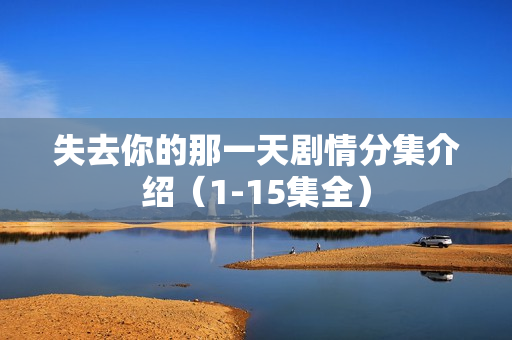 失去你的那一天剧情分集介绍（1-15集全）