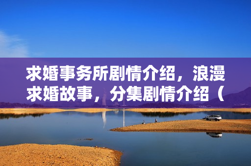 求婚事务所剧情介绍，浪漫求婚故事，分集剧情介绍（1-30集全）