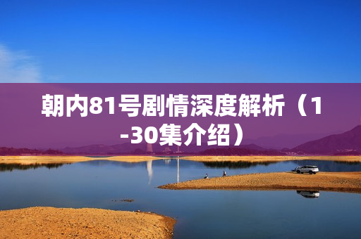 朝内81号剧情深度解析（1-30集介绍）