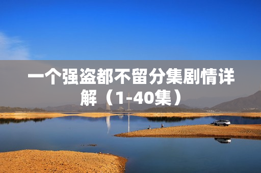 一个强盗都不留分集剧情详解（1-40集）