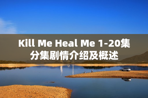 Kill Me Heal Me 1-20集分集剧情介绍及概述