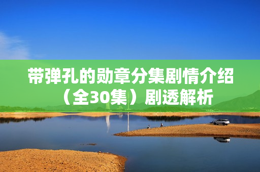 带弹孔的勋章分集剧情介绍（全30集）剧透解析