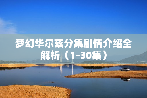 梦幻华尔兹分集剧情介绍全解析（1-30集）