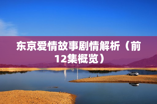 东京爱情故事剧情解析（前12集概览）