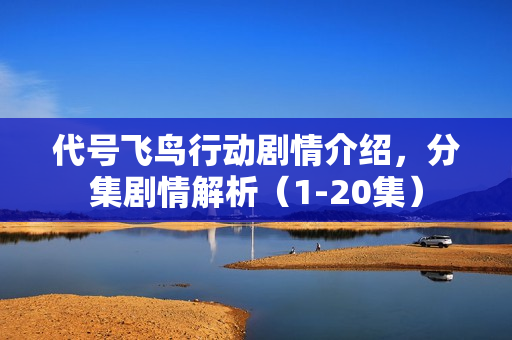代号飞鸟行动剧情介绍,分集剧情解析(1-20集) 代号飞鸟行动剧情介绍,分集剧情解析(1-20集)