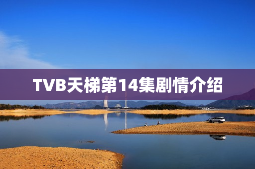 TVB天梯第14集剧情介绍