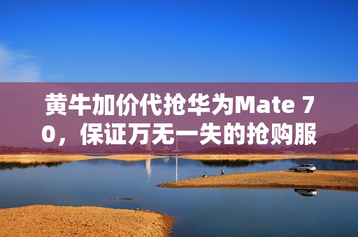 黄牛加价代抢华为Mate 70，保证万无一失的抢购服务