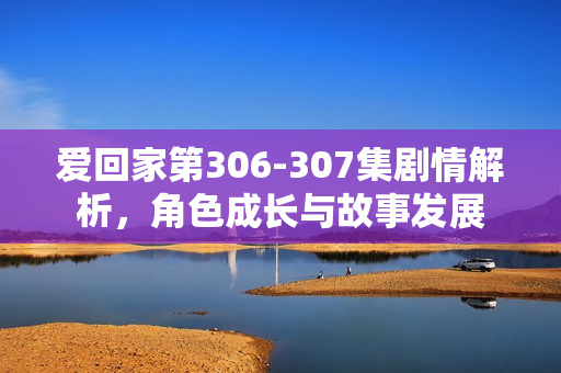 爱回家第306-307集剧情解析，角色成长与故事发展