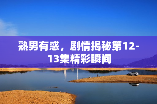 熟男有惑，剧情揭秘第12-13集精彩瞬间