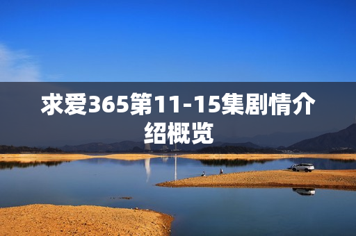 求爱365第11-15集剧情介绍概览