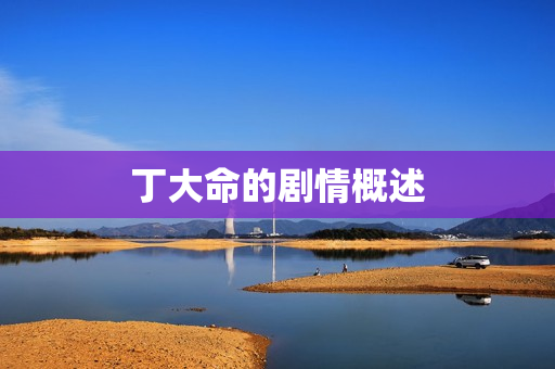 丁大命的剧情概述 丁大命的剧情概述