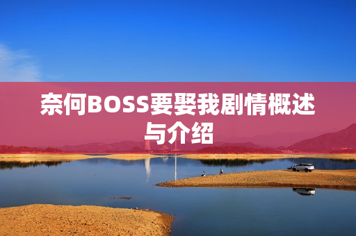 奈何BOSS要娶我剧情概述与介绍
