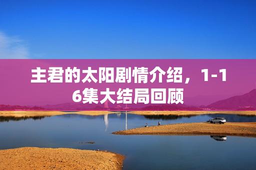 主君的太阳剧情介绍，1-16集大结局回顾