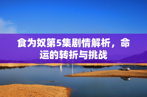 食为奴第5集剧情解析，命运的转折与挑战