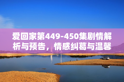 爱回家第449-450集剧情解析与预告，情感纠葛与温馨转折