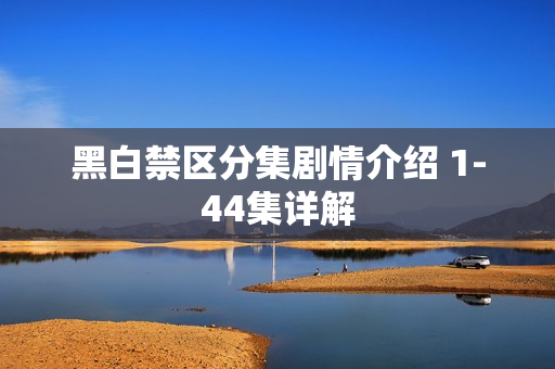 黑白禁区分集剧情介绍 1-44集详解