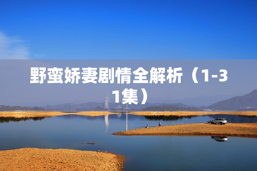 野蛮娇妻剧情全解析（1-31集）