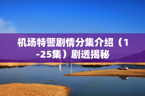 机场特警剧情分集介绍（1-25集）剧透揭秘