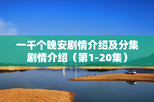 一千个晚安剧情介绍及分集剧情介绍（第1-20集）