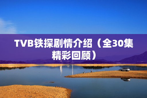 TVB铁探剧情介绍（全30集精彩回顾）