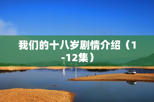 我们的十八岁剧情介绍（1-12集）