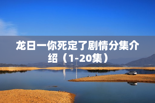 龙日一你死定了剧情分集介绍（1-20集）