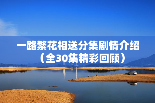 一路繁花相送分集剧情介绍（全30集精彩回顾）