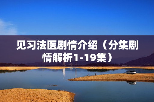 见习法医剧情介绍（分集剧情解析1-19集）