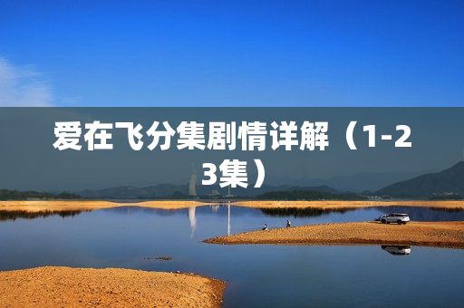 爱在飞分集剧情详解（1-23集）