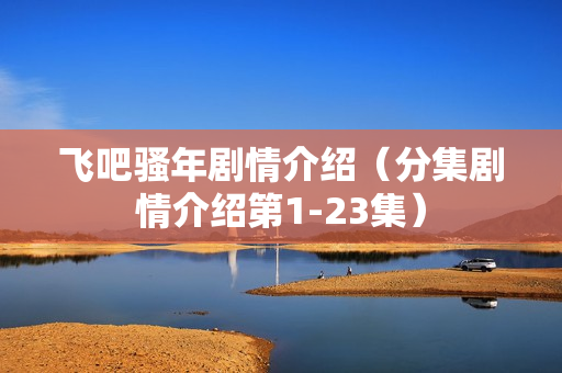 飞吧骚年剧情介绍（分集剧情介绍第1-23集）