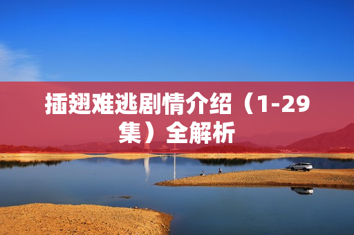 插翅难逃剧情介绍(1-29集)全解析 插翅难逃剧情介绍(1-29集)全解析