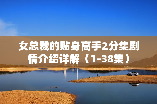 女总裁的贴身高手2分集剧情介绍详解（1-38集）