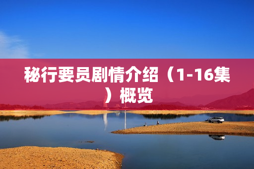 秘行要员剧情介绍（1-16集）概览