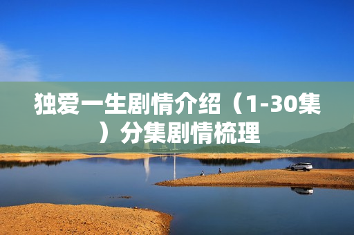 独爱一生剧情介绍（1-30集）分集剧情梳理