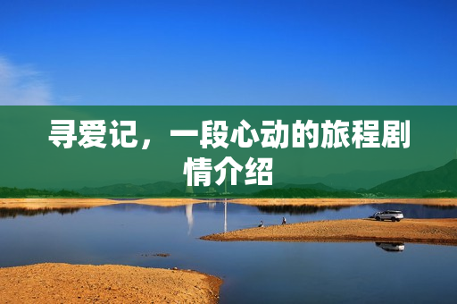 寻爱记，一段心动的旅程剧情介绍
