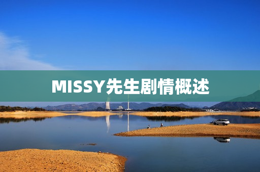 MISSY先生剧情概述