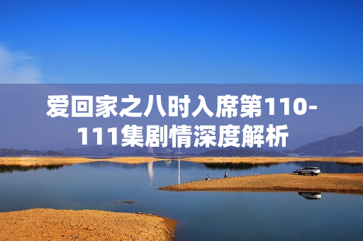 爱回家之八时入席第110-111集剧情深度解析