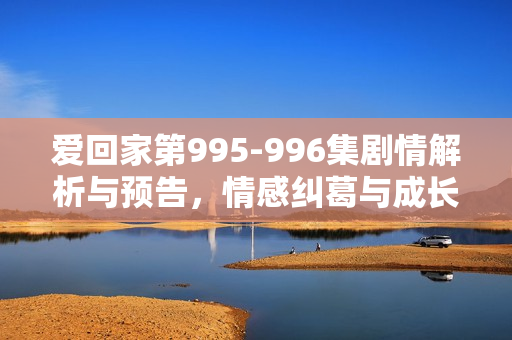 爱回家第995-996集剧情解析与预告，情感纠葛与成长篇章