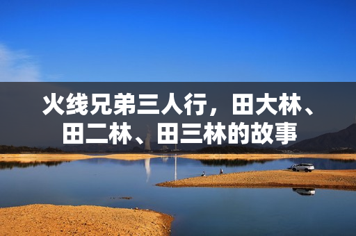 火线兄弟三人行,田大林、田二林、田三林的故事 火线兄弟三人行,田大林、田二林、田三林的故事