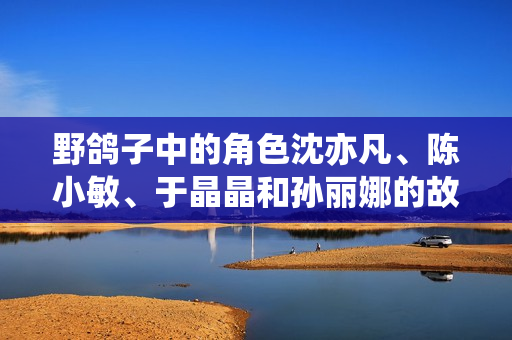 野鸽子中的角色沈亦凡、陈小敏、于晶晶和孙丽娜的故事