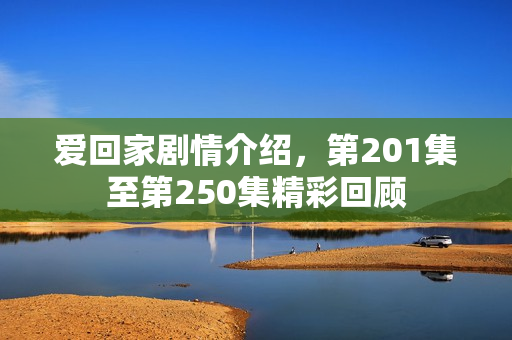 爱回家剧情介绍，第201集至第250集精彩回顾