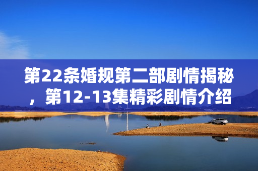 第22条婚规第二部剧情揭秘，第12-13集精彩剧情介绍