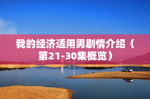 我的经济适用男剧情介绍（第21-30集概览）