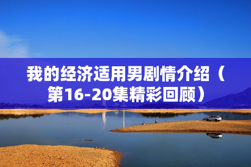 我的经济适用男剧情介绍（第16-20集精彩回顾）