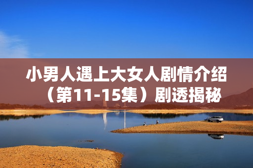 小男人遇上大女人剧情介绍（第11-15集）剧透揭秘