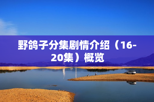 野鸽子分集剧情介绍（16-20集）概览