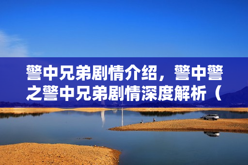 警中兄弟剧情介绍，警中警之警中兄弟剧情深度解析（大结局版）