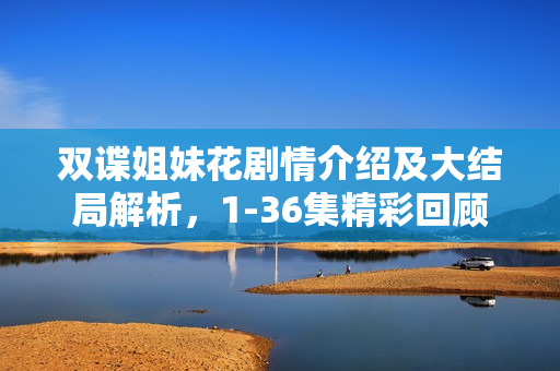 双谍姐妹花剧情介绍及大结局解析，1-36集精彩回顾