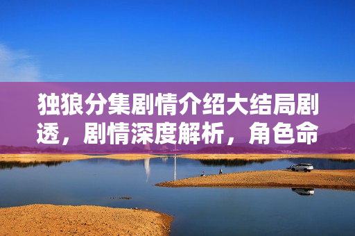 独狼分集剧情介绍大结局剧透，剧情深度解析，角色命运揭秘，独狼大结局揭秘！